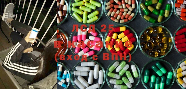 трава Гвардейск